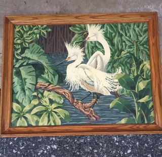Vintage 50s 60s Paint by Number Painting Framed White Birds Heron Egrets 2