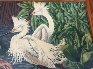 Vintage 50s 60s Paint by Number Painting Framed White Birds Heron Egrets 3