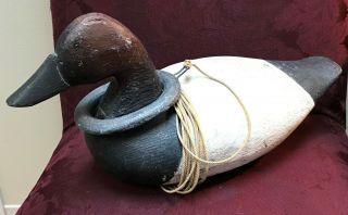 Vintage Large Canvasback Duck Decoy With Anchor/weight - Old Nail -
