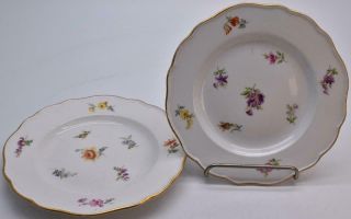 Antique / Vintage Meissen Plates - Hand Painted Flowers