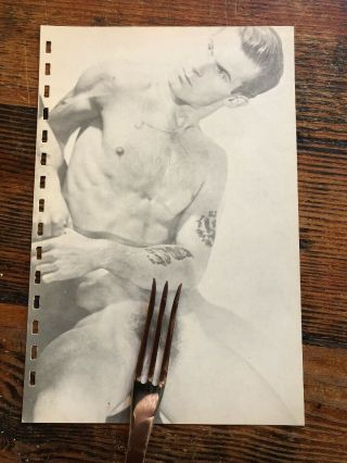Vtg B/w Colt ? Studio Gay Interest Nude Male Photo Art Figure Model Beef 6x9