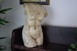 Early 20th Century Distressed Plaster Bust Of Female Nude Body 3
