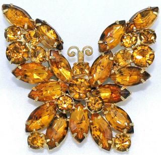 Gorgeous 2 3/8 " Vtg Signed Weiss Amber Topaz Glass Butterfly Brooch Pin Li68