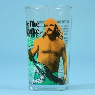 Jake The Snake Roberts - 1988 Wwf Glass Cup - Vintage Wrestling Rare Wwe