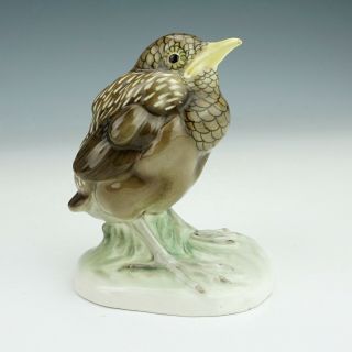Vintage Continental German Porcelain - Fledgling Bird Figure - Unusual