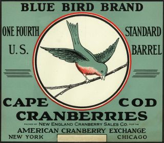 Cape Cod Ma - Blue Bird Cranberry - Vintage Label (posters,  Wood & Metal Signs)