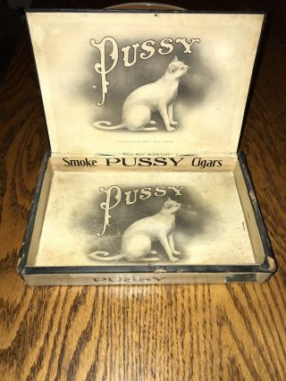 VERY RARE Antique Pussy Cigar Box 5 Cent SCARCE 1908 3