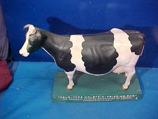 Vintage Holstein Friesian Cow True Type Display Model