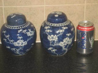 Two Fine 19th Century Chinese Kangxi Prunus Tea Caddys / Ginger Jars
