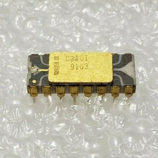 Intel C3101 Grey Trace No Missing Legs Vintage,  Rare Computer Chip