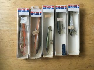 Five (5) Vintage Rebel Floating Minnow Lures Bass Rainbow Brown Trout Boxed Rare