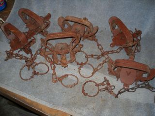 6 Of The Victor 2 Coil Spring Traps