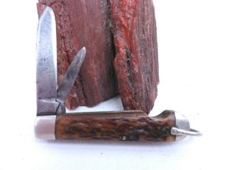Vintage Camillus Cutlery Co Ny Usa Bone Pocket Knife 2 Blades 3 7/16 " Jack