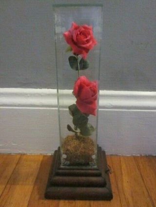 Vtg Rose In Glass Wood Base Music Box Plays Carpenters We 
