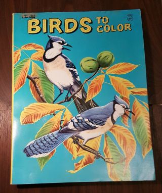 Vintage Saalfield Coloring Book Birds To Color Vintage  Rare