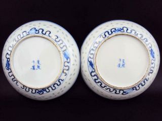 Impressive Chinese Oriental Antiques Porcelain Blue And White Plate Kangxi Mark