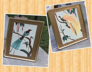 2 Vtg Mid Century Framed Paint By Number Tropical Bird Pictures
