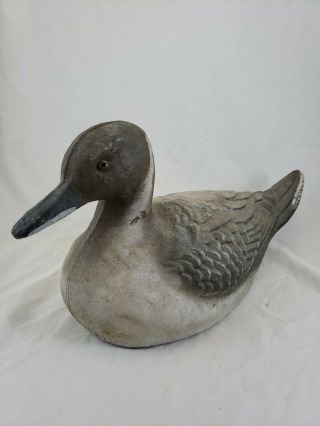 Vintage General Fibre Co.  Ariduk Duck Decoy Pintail Drake Rare