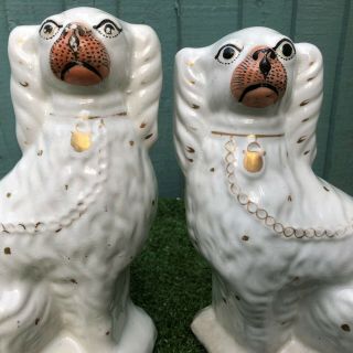 PAIR: 19thC STAFFORDSHIRE SEATED WHITE & GILT SPANIEL DOGS c1880s 2