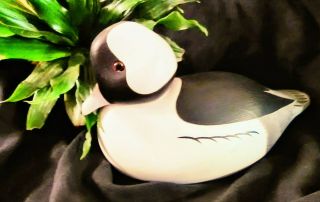 Antique 1984 Drake Bufflehead Wood Duck Decoy with Paint & Glass Eyes 2