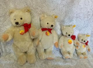Vintage Steiff Teddy Bears Set Of 4 0203 41/36/26/18 All Tags Collectors Jointed