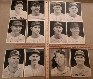 12 Antique Red Sox Baseball Photos,  6 - 1/2 " X 9 "