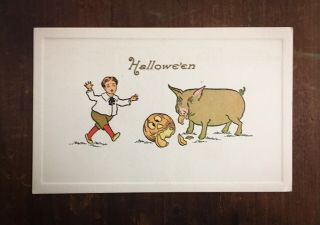Vintage Gibson Halloween Postcard - Jack - O - Lantern,  Pig,  Little Boy