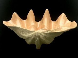 Large Mid - Century Ceramic Giant Clam Shell Console Bowl