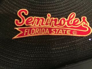 Fsu Florida State Seminoles Vintage Embroidered Iron Patch 4.  25” X 1.  75”