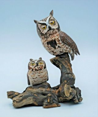 Vintage Carved Wooden Owl Bird Statue Folk Art On Driftwood Signed By Tom