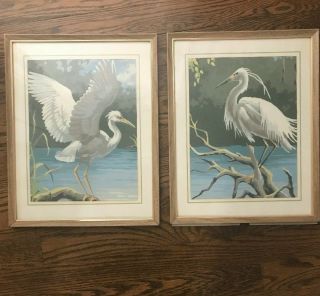 Vintage Paint By Number Set Tropical Birds Egrets Heron Large White 14 " X 10 "