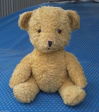 Old Vintage Antique Teddy Bear With Stud (50yrs Old)