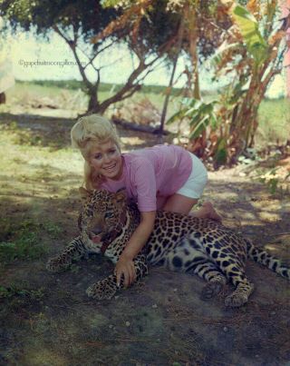 Bunny Yeager 1960s Color Camera Transparency Negative Elaine Lekas & Pet Leopard