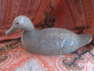Vintage Antique Wooden Duck Decoy Mallard Animal Trap Co.  Mississippi