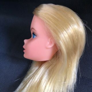 Vintage Mod Barbie Doll Head Busy Barbie 3311 1972 - 73 3