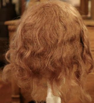 8 Antique 11 " Mohair Doll Wig For Antique French Or German Bisque Doll