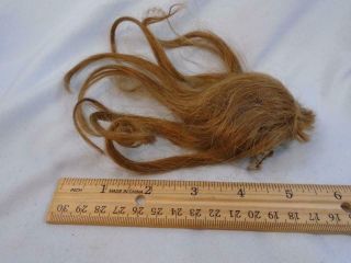 Antique Bisque Doll Wig Human Hair Small Size Dark Blonde