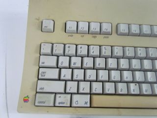 Apple Extended Keyboard M0115 With Cable and Mouse 2