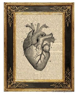 Heart 1 Art Print On Vintage Book Page Medical Anatomy Illustration Home Decor