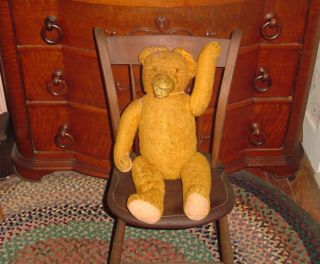 Old Antique Teddy Bear In Need Of Good Home