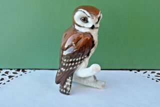 Vintage Hutschenreuther Porcelain Owl Perched On Branch Figurine Made In Germany
