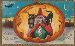 S21 1757 Vintage Conwell Halloween Postcard Witch Owl Black Cat In Jol C.  1910