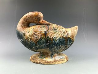 Rare Chinese Tang Tri - Color Glazed Ceramics Swan A.  D.  618 - 907 Tang Dynasty