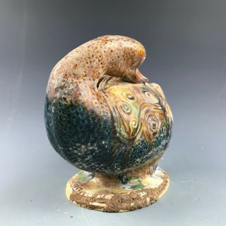 Rare Chinese Tang Tri - Color Glazed Ceramics Swan A.  D.  618 - 907 Tang dynasty 2