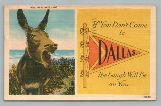 “hee Haw Dallas Texas” Vintage Linen Pennant Postcard—donkey 1945