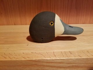1910 Mason Factory Glasseye Hen Bluebill Wood Duck Decoy Head Detroit Mi