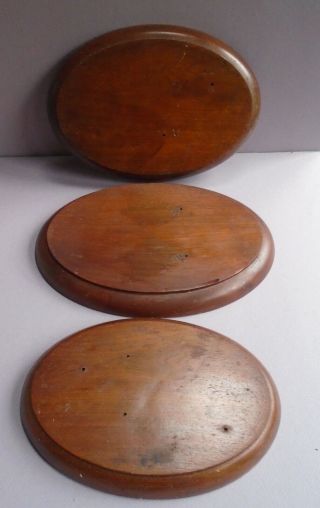 Attn: Fish Carvings / Carvers - 3 Vintage Oval Mounting Plaques Mahogany 2 Sizes