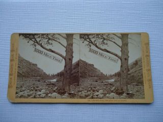 Antique Stereoview Muybridge 819 1,  000 Mile Tree,  1000 Miles West Of Omaha Cprr