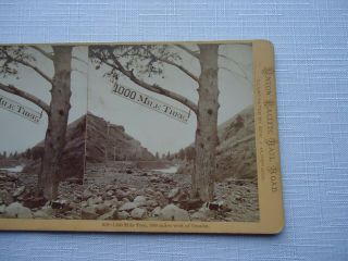 Antique Stereoview Muybridge 819 1,  000 mile tree,  1000 Miles West Of Omaha CPRR 2