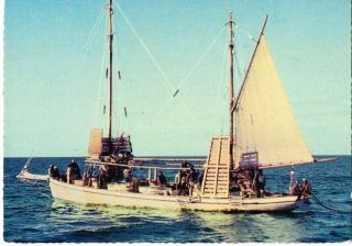 Vintage Pearl Lugger Real Postcard Torres Straits - Thursday Island 1960/70s
